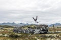 Breakdancer standing on one hand outdoors in beautiful mountain scenery Royalty Free Stock Photo