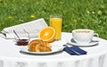 Breakfast Royalty Free Stock Photo