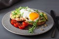 Breakfast avocado sandwich with fried egg and tomato Royalty Free Stock Photo