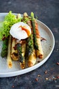 Breakfast of baked asparagus in spices with bacon, poached egg and crispy salad. Royalty Free Stock Photo