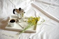 Breakfast in bed with coffee and diary on a lazy Sunday Royalty Free Stock Photo