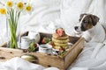 Breakfast in bed: cottage cheese pancakes, coffee and strawberries