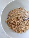 Bowl with cereals and milk