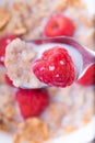 Breakfast with brown rice flakes, milk and fresh raspberries Royalty Free Stock Photo