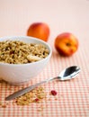Breakfast cereal Royalty Free Stock Photo