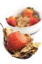 Breakfast cereal with blueberr Royalty Free Stock Photo