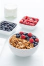 Breakfast cereal with blueberries and raspberries on white Royalty Free Stock Photo