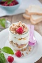 Breakfast cereals Royalty Free Stock Photo