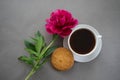 Breakfast with coffee and cookies with peony on a gray background