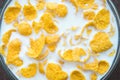 Breakfast corn flakes. milk into bowl of corn flakes background, top view. Healthy breakfast. Food and drink industry. Royalty Free Stock Photo