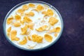 Breakfast corn flakes. milk into bowl of corn flakes on a dark background, top view. Healthy breakfast. Food and drink industry Royalty Free Stock Photo