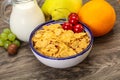 Breakfast with corn flakes and milk Royalty Free Stock Photo