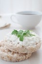 Breakfast with cottage cheese Royalty Free Stock Photo