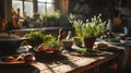 breakfast eggs and herbs, macro shot, vintage farm table, fresh morning, local farm. Royalty Free Stock Photo