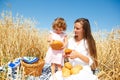 Breakfast in field Royalty Free Stock Photo