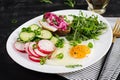 Fried egg, fresh vegetable salad and lard sandwich. Keto diet Royalty Free Stock Photo