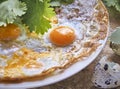 Breakfast. fried eggs with greens on a white plate. next to the eggshell Royalty Free Stock Photo
