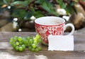 Breakfast in the garden, stationery mockup scene. A cup of coffee, blank business cards on a wooden bench.Grapes. Lifestyle Royalty Free Stock Photo