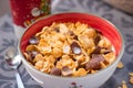 Breakfast golden and chocolate cornflakes cereal bowl Royalty Free Stock Photo
