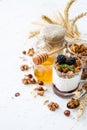 Breakfast - granola, yogurt, berries, nuts, honey, wheat Royalty Free Stock Photo