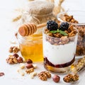 Breakfast - granola, yogurt, berries, nuts, honey, wheat Royalty Free Stock Photo