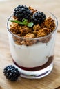 Breakfast - granola, yogurt, berries, wheat Royalty Free Stock Photo
