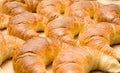 Breakfast - group of tasty crescent rolls Royalty Free Stock Photo