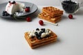 breakfast is healthy with cottage cheese and berries. Belgian soft waffles with cottage cheese blueberries and cherries on a white Royalty Free Stock Photo