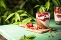 Breakfast layered parfait dessert with yogurt, sponge biscuit and fresh strawberry, white background copy space Royalty Free Stock Photo