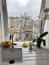 Breakfast: mango, coffee and a window view of London street