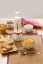 Breakfast with milk and cereals Royalty Free Stock Photo