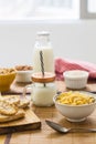 Breakfast with milk and cereals Royalty Free Stock Photo