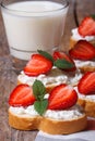 Breakfast of milk and sandwiches with strawberries and cheese Royalty Free Stock Photo