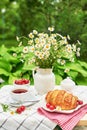 Breakfast outside. Cup of tea, strawberries, cherries, croissants, chamomile bunch on table. Summer picnic. Good morning concept