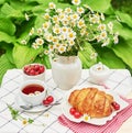 Breakfast outside. Cup of tea, strawberries, cherries, croissants, chamomile bunch on table. Summer picnic. Good morning concept