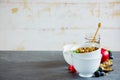 Breakfast set with granola Royalty Free Stock Photo