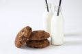 Breakfast of some cookies and two bottles of milk Royalty Free Stock Photo