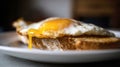A breakfast tableau of golden-brown fried eggs nestled on a toastedbread. Royalty Free Stock Photo