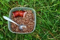 Breakfast tourist, sausage and buckwheat