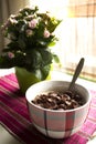 Breakfast by the window with cereals and plants Royalty Free Stock Photo