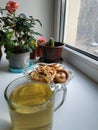 Breakfast by the window. Tea and cookies. Houseplants. Food. Morning magic. Vertical photo on the phone