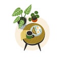 Breakfast on wood coffee table. Lunch with tea cup, sandwich, eggs on plate and home plants. Cozy morning branch with