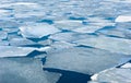 Breaking spring ice floe of japanese sea