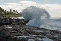 Breaking wave on Oahu, Hawaii Royalty Free Stock Photo