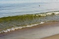 Breaking wave of sea near the shore. Surf and wet sand close-up. Selective focus, fog view Royalty Free Stock Photo