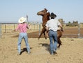 Breaking a young horse Royalty Free Stock Photo