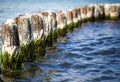 Breakwater on Baltic Sea Royalty Free Stock Photo