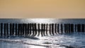 Breakwater at cadzand beach at sundown