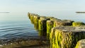 Breakwater covered with green algas