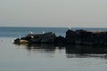 Breakwater with Gulls